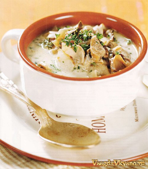 Суп из шампиньонов и белых грибов